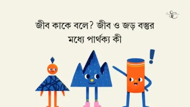 জীব কাকে বলে