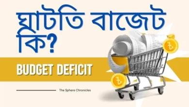 ঘাটতি বাজেট কি