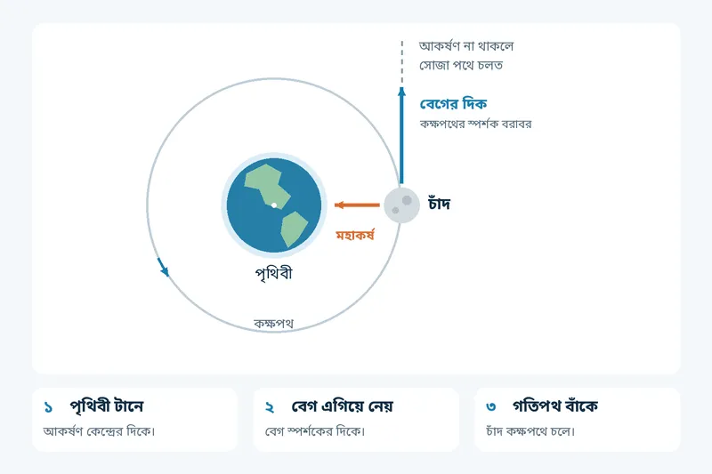 চাঁদ কেন পৃথিবীর ওপর পড়ে না?
